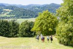 2020 &raquo; Tabor Polhov Gradec